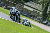 Oulton-Park-21st-March-2020;PJ-Motorsport-Photography-2020;anglesey;brands-hatch;cadwell-park;croft;donington-park;enduro-digital-images;event-digital-images;eventdigitalimages;mallory;no-limits;oulton-park;peter-wileman-photography;racing-digital-images;silverstone;snetterton;trackday-digital-images;trackday-photos;vmcc-banbury-run;welsh-2-day-enduro